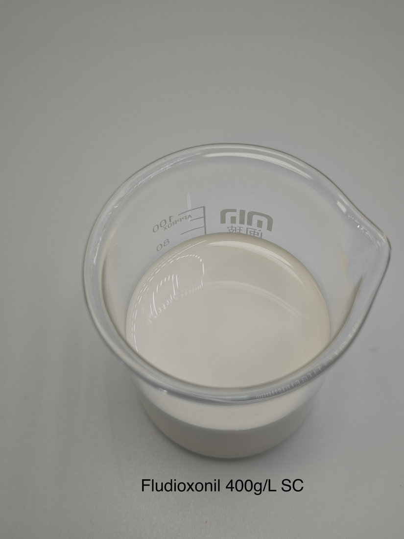 Fludioxonil 400g/L SC